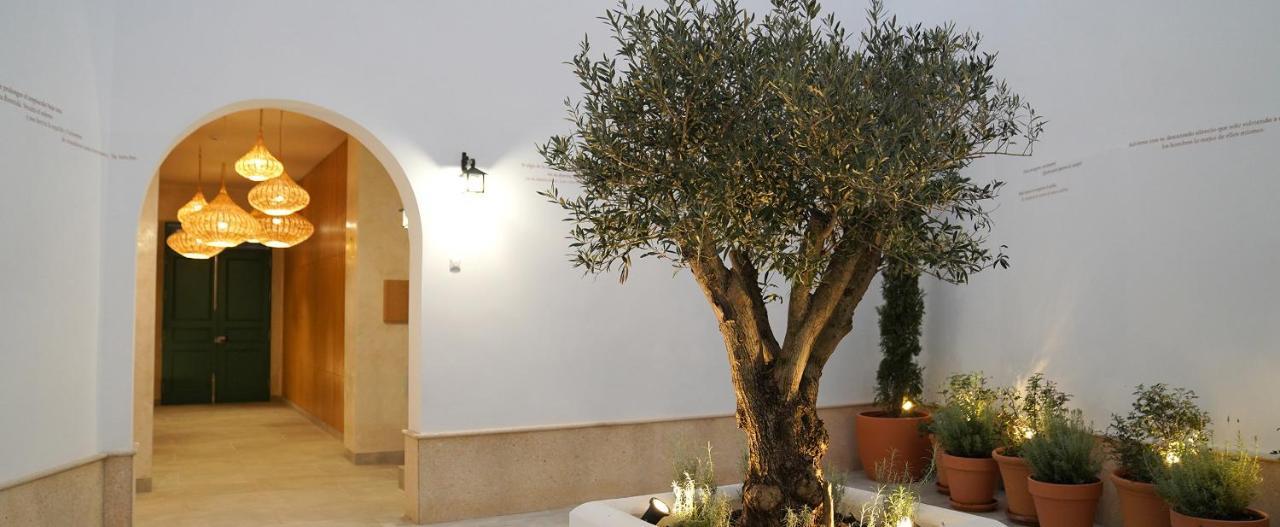 Casa De La Vega Suites Chiclana de la Frontera Dış mekan fotoğraf